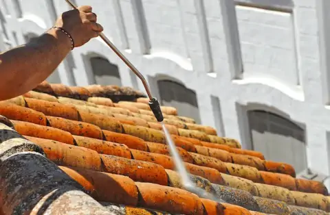 Nettoyage de toitures - Griesbach-au-Val